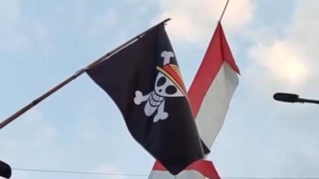 Bendera One Piece Dianggap Simbol Kebebasan oleh Komnas HAM