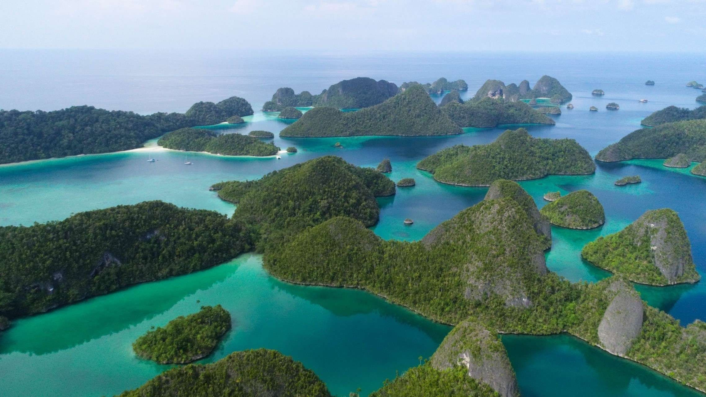 Raja Ampat 2025: Surga Bawah Laut, Wisata Berkelanjutan, dan Digitalisasi Pariwisata