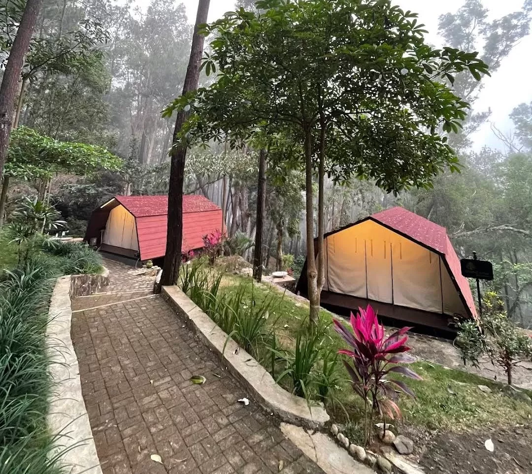 Fenomena Glamping di Indonesia 2025: Liburan Alam dengan Sentuhan Modern