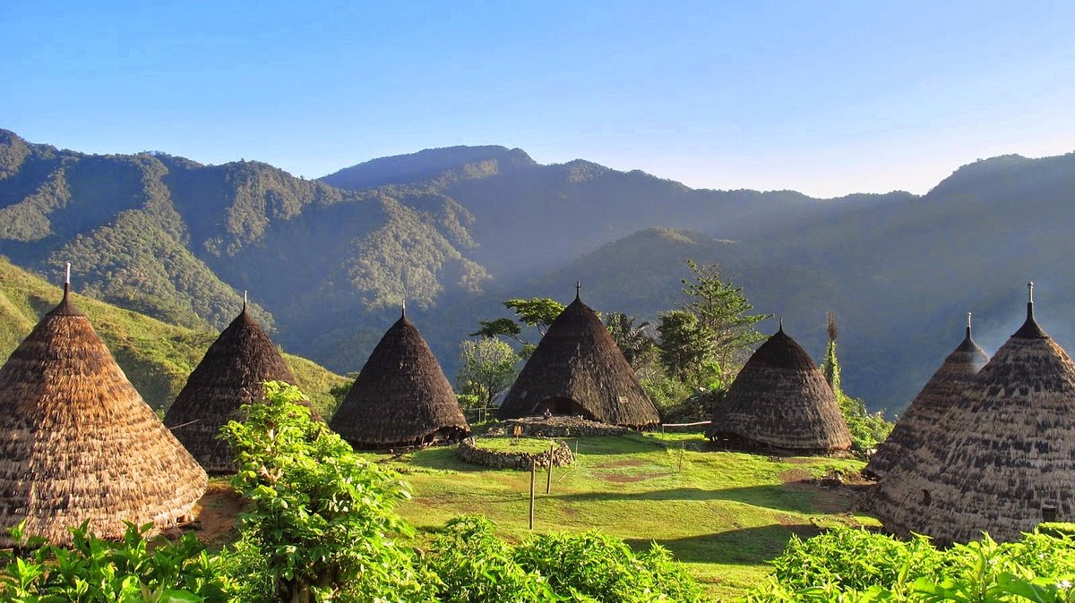 Kebangkitan Wisata Ekologi di Indonesia 2025: Pariwisata Ramah Lingkungan Jadi Gaya Baru